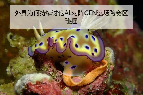 外界为何持续讨论AL对阵GEN这场跨赛区碰撞