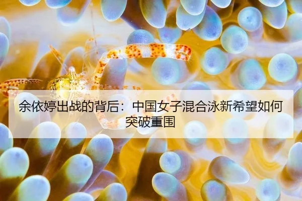 yu-yi-ting-chu-zhan-de-bei-hou-zhong-guo-nv-zi-hun-he-yong-xin-xi-wang-ru-he-tu-po-chong-wei-2-125.jpg